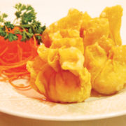 wonton